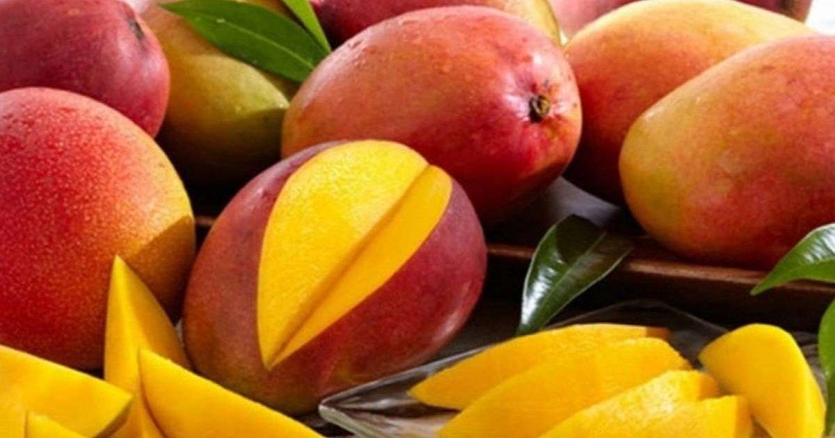 Best Pakistani Mangoes Online