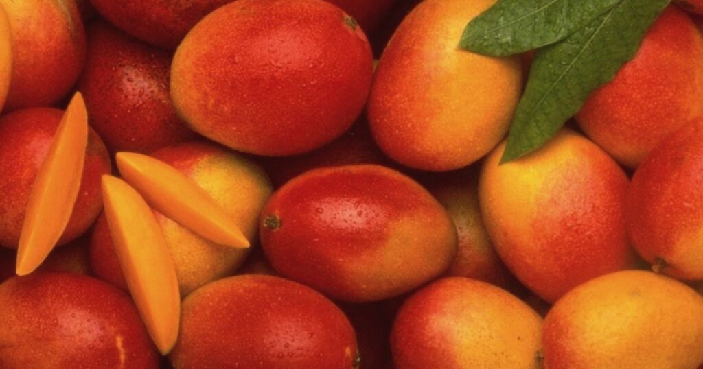 Best Pakistani Mangoes Online