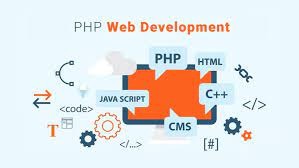 custome php website development