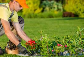 Landscape Gardener