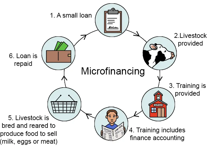 Step-by-Step beginner's guide to microfinance loan